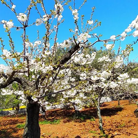 Masseria - Trulli Genius Loci Dimore Monopoli