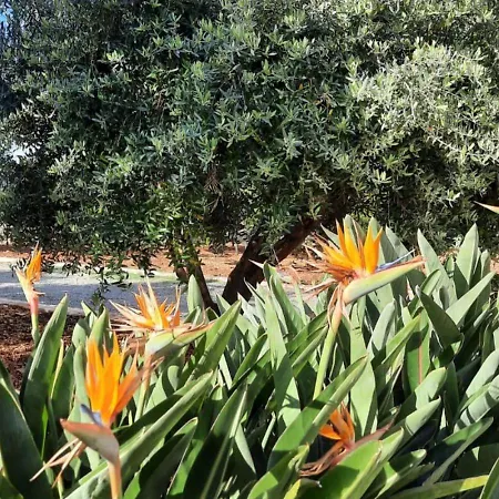 Masseria - Trulli Genius Loci Dimore Landhuis Monopoli