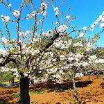 Masseria - Trulli Genius Loci Dimore 莫诺波利