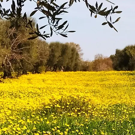 Landhuis Masseria - Trulli Genius Loci Dimore Monopoli